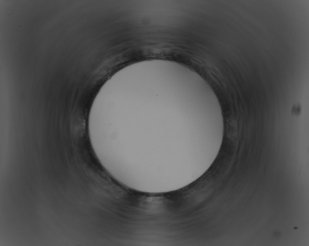 X0000091370324200708311530