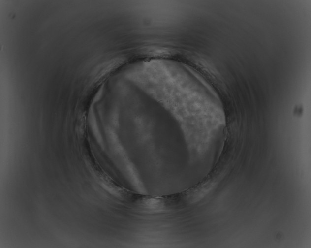 X0000091370325200708311530