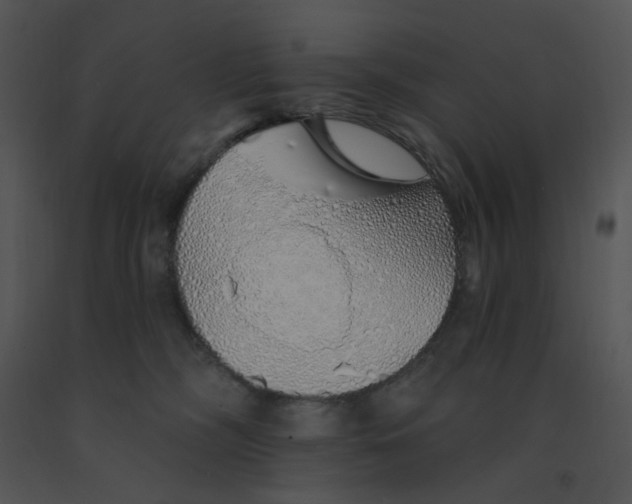 X0000091370326200708311530