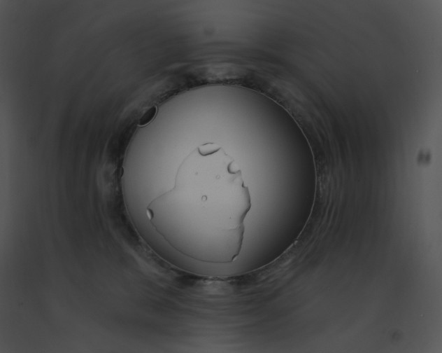 X0000091370327200708311530