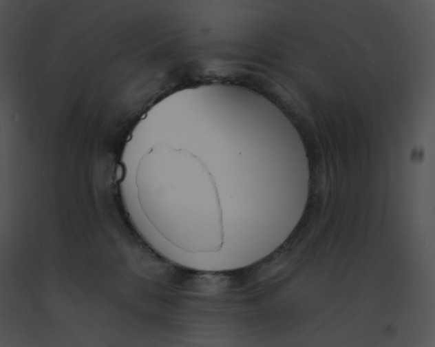 X0000091370328200708311530