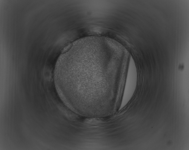 X0000091370331200708311530