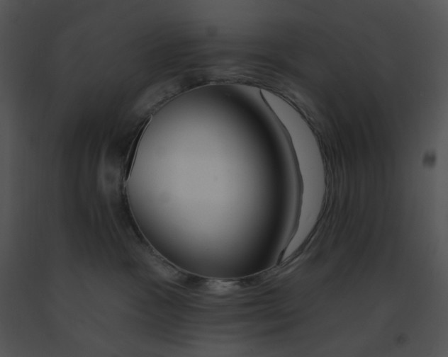 X0000091370333200708311530