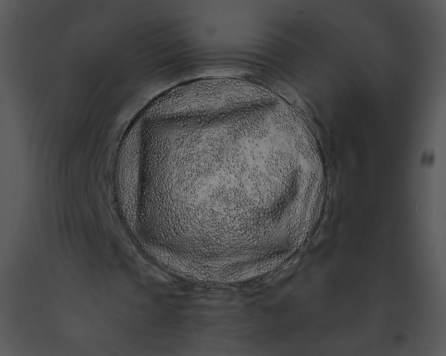 X0000091370337200708311530