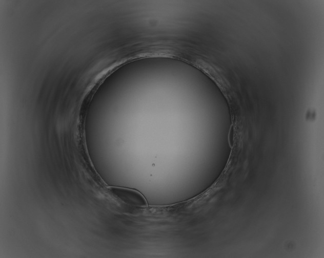 X0000091370338200708311530