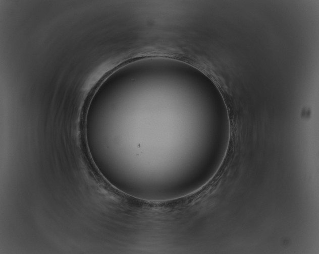 X0000091370340200708311530