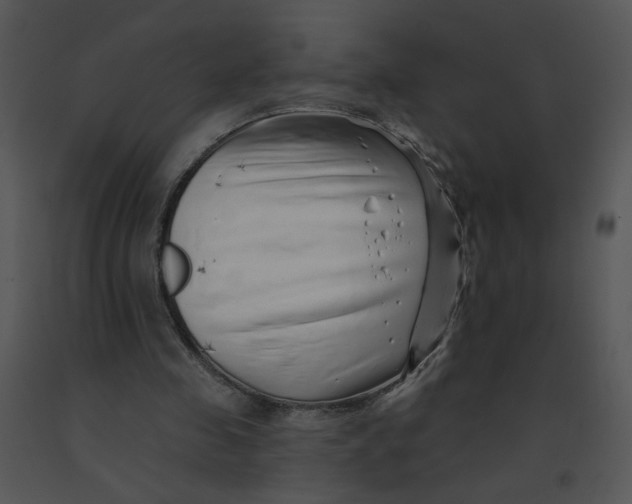 X0000091370341200708311530