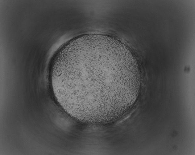 X0000091370343200708311530