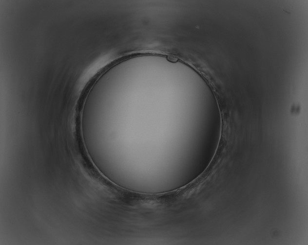 X0000091370344200708311530