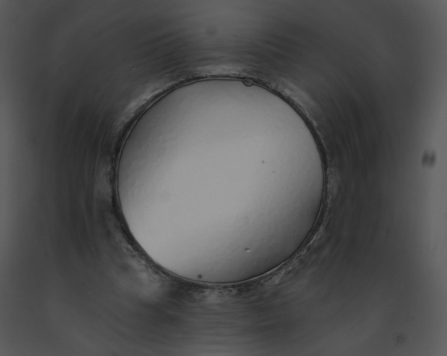 X0000091370345200708311530