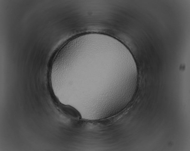 X0000091370346200708311530