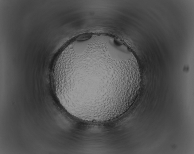 X0000091370347200708311530