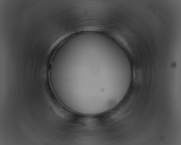 X0000091370348200708311530