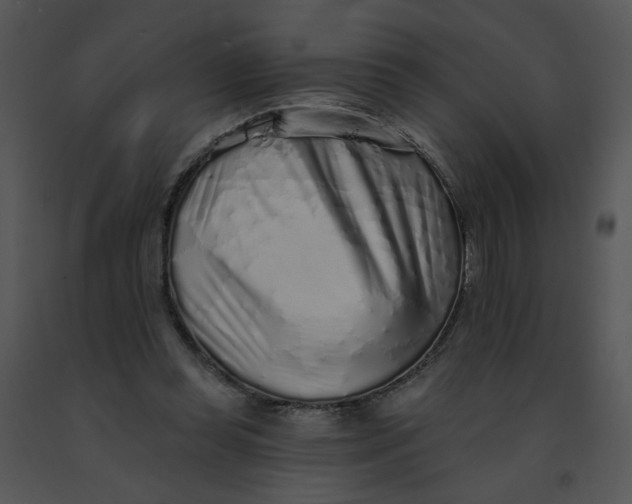 X0000091370349200708311530