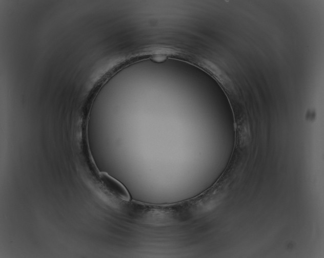 X0000091370350200708311530