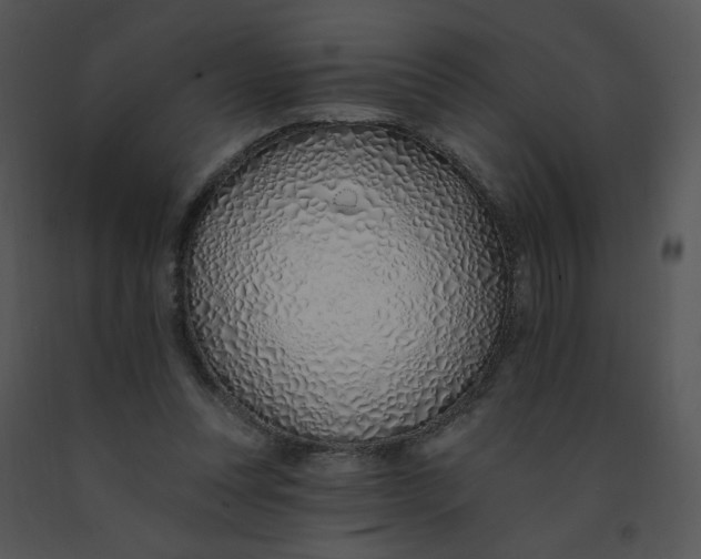 X0000091370351200708311530