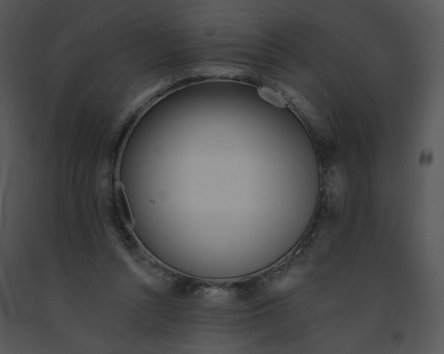 X0000091370352200708311530