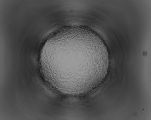 X0000091370353200708311530