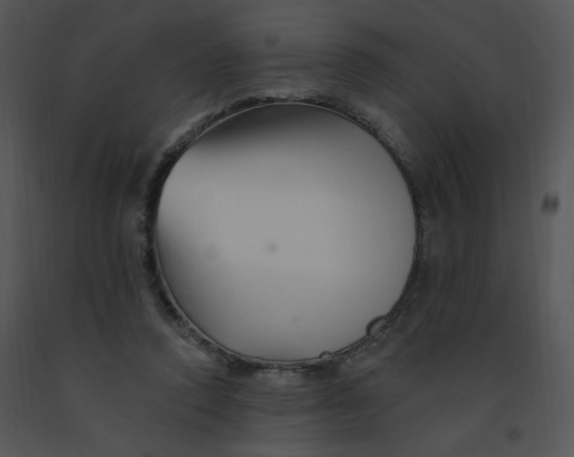 X0000091370354200708311530