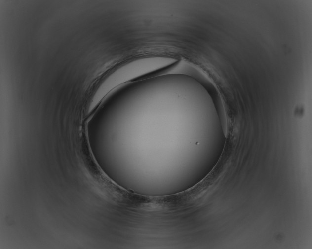 X0000091370356200708311530