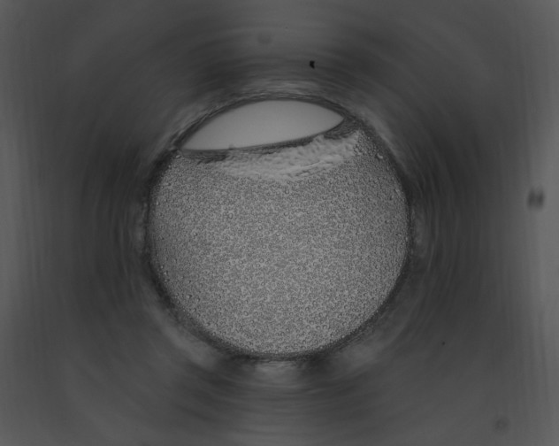 X0000091370357200708311530