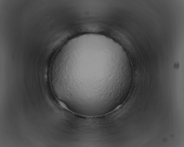 X0000091370358200708311530