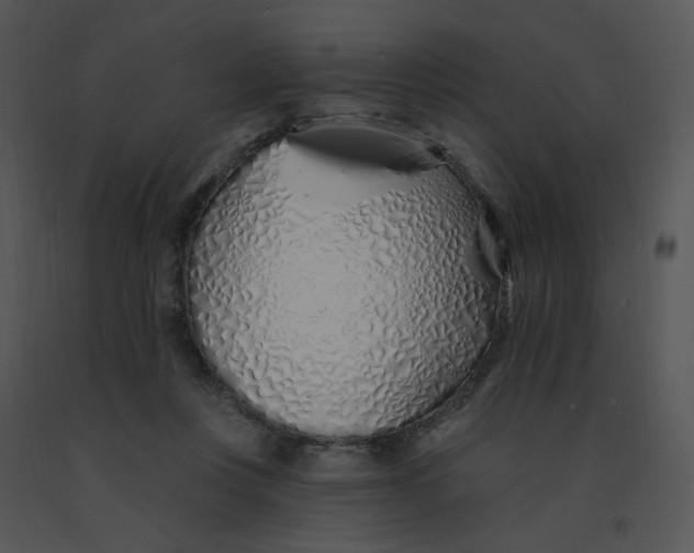 X0000091370359200708311530