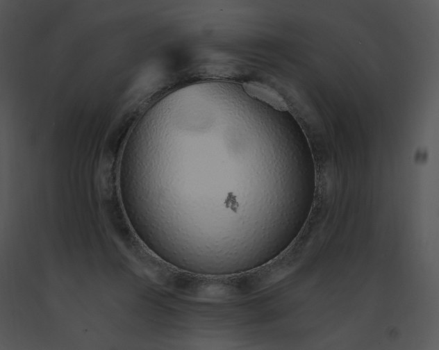 X0000091370360200708311530