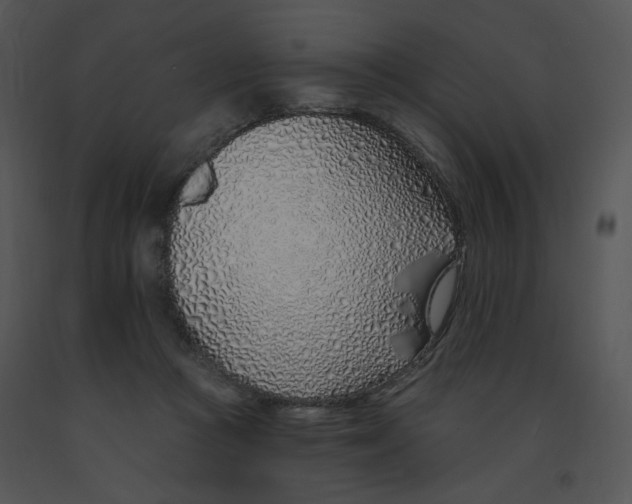 X0000091370361200708311530