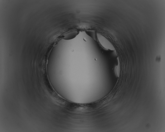 X0000091370364200708311530