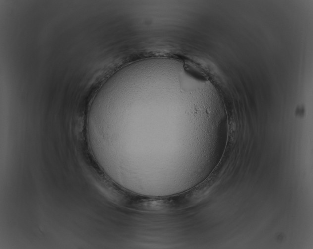 X0000091370365200708311530