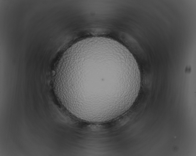 X0000091370367200708311530