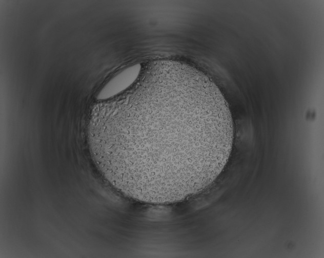 X0000091370369200708311530