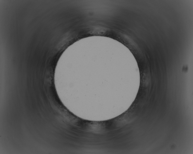 X0000091370370200708311530