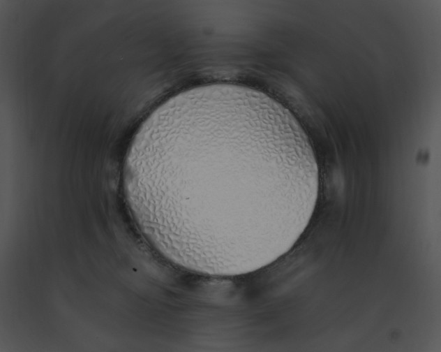 X0000091370374200708311530