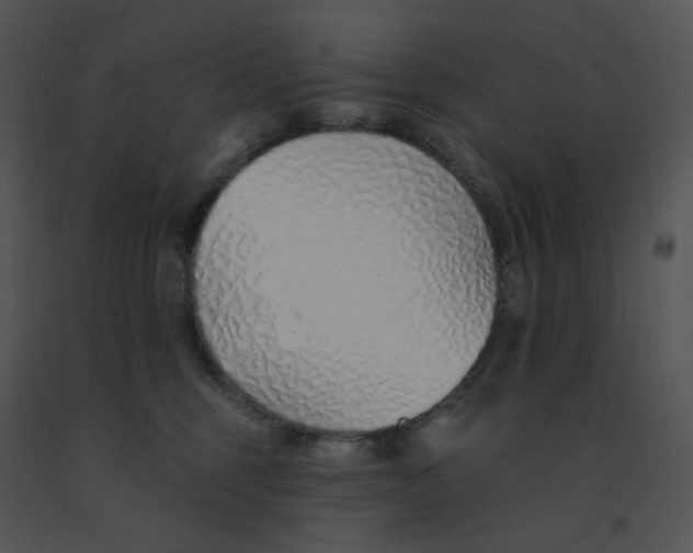 X0000091370375200708311530