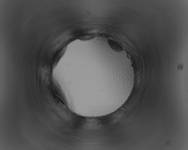 X0000091370376200708311530