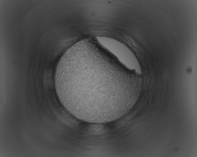 X0000091370377200708311530