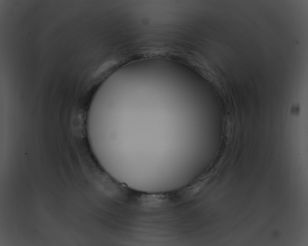 X0000091370378200708311530