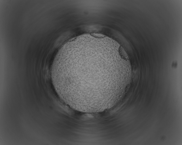 X0000091370381200708311530