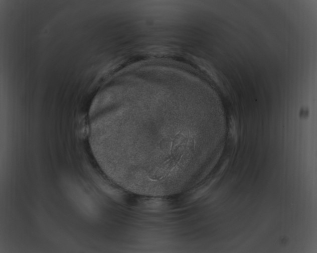 X0000091370383200708311530