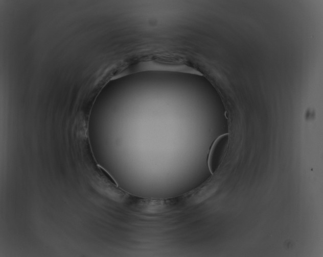 X0000091370384200708311530