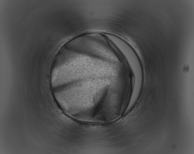 X0000091370385200708311529