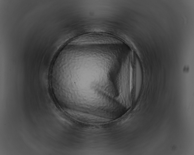 X0000091370386200708311529