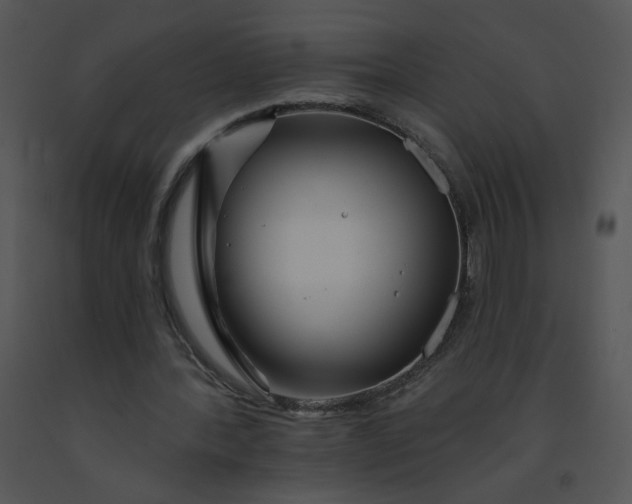 X0000091370388200708311529