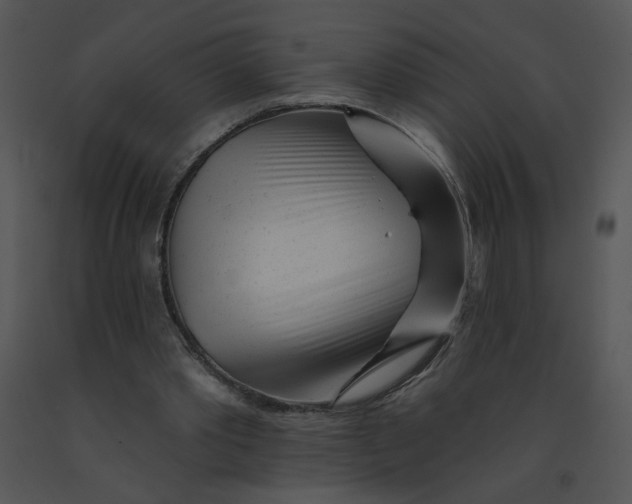 X0000091370389200708311529