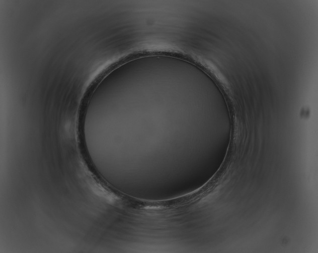 X0000091370391200708311529