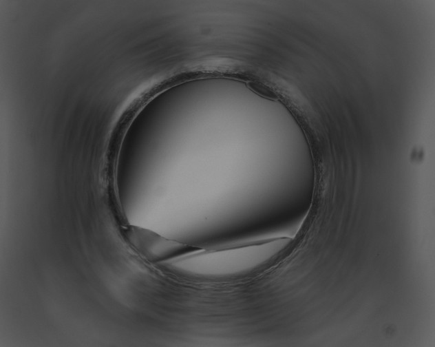 X0000091370392200708311529