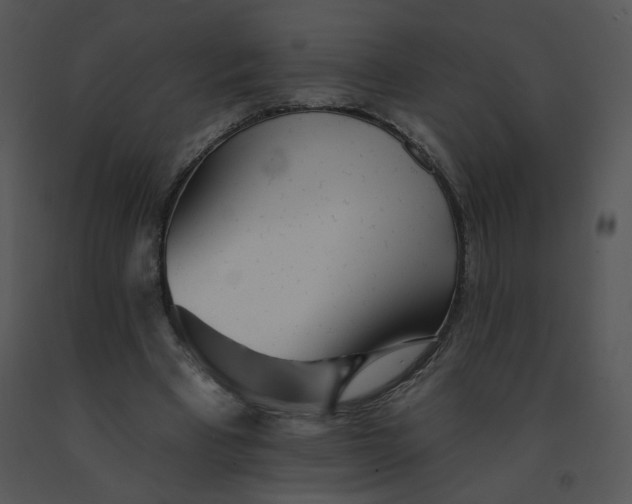 X0000091370393200708311529