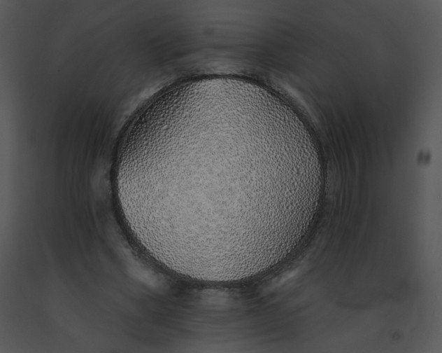 X0000091370394200708311529